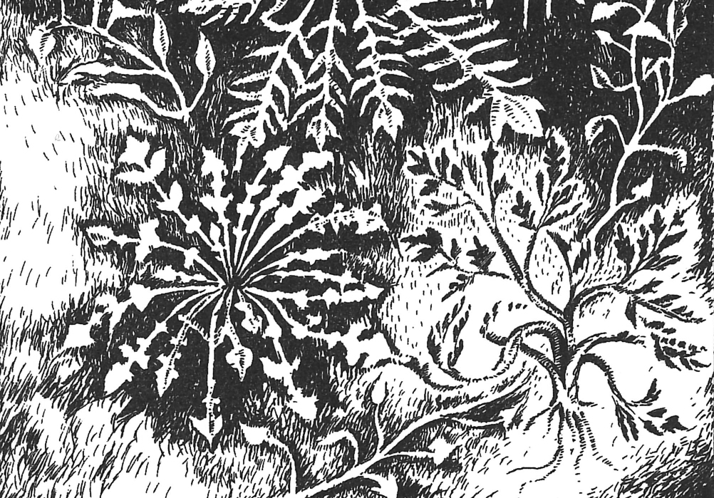 Harvesting Harvesting