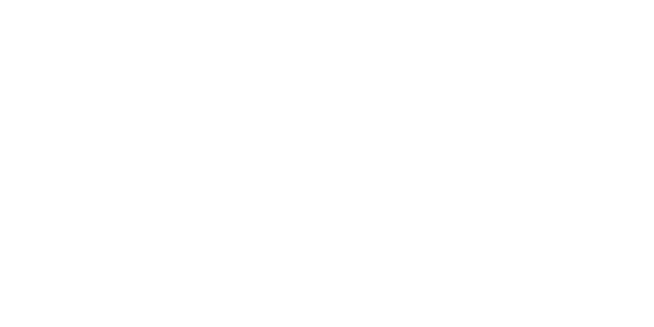 Logo Stedelijk Studies Wit