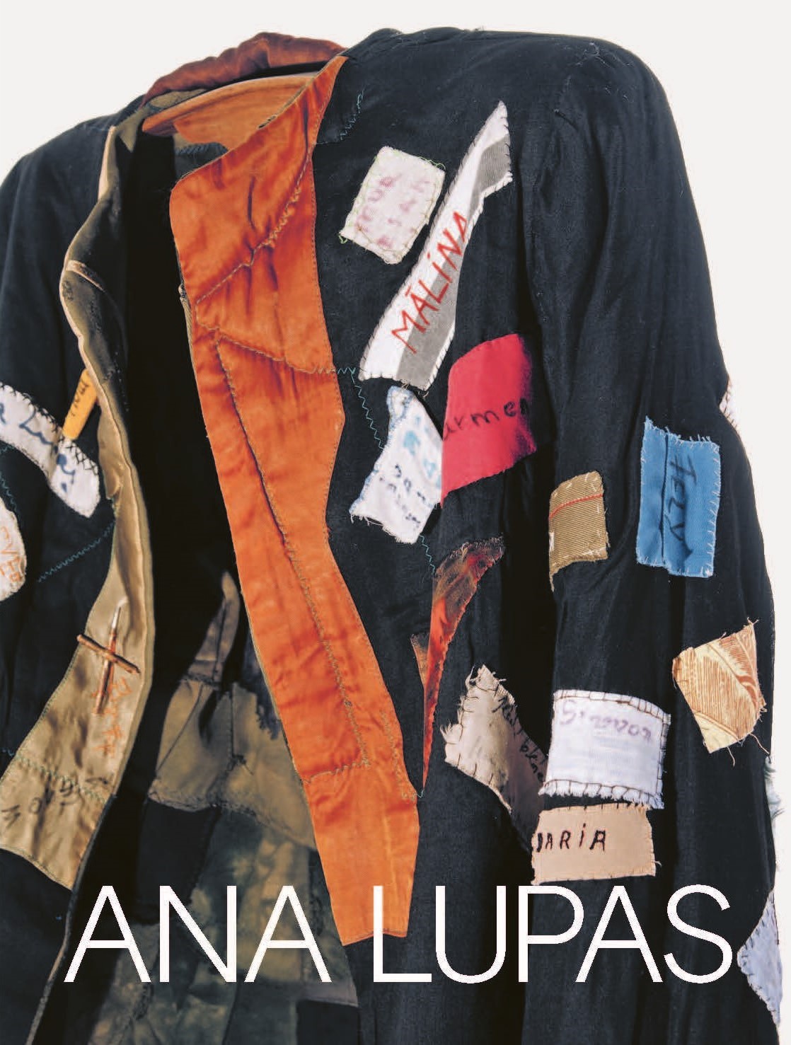 Cover of the book titled Ana Lupas